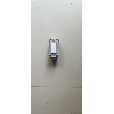 防爆单开关
